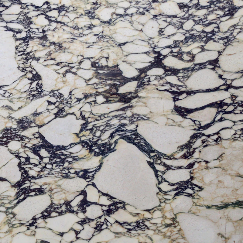 Viola calacatta marble