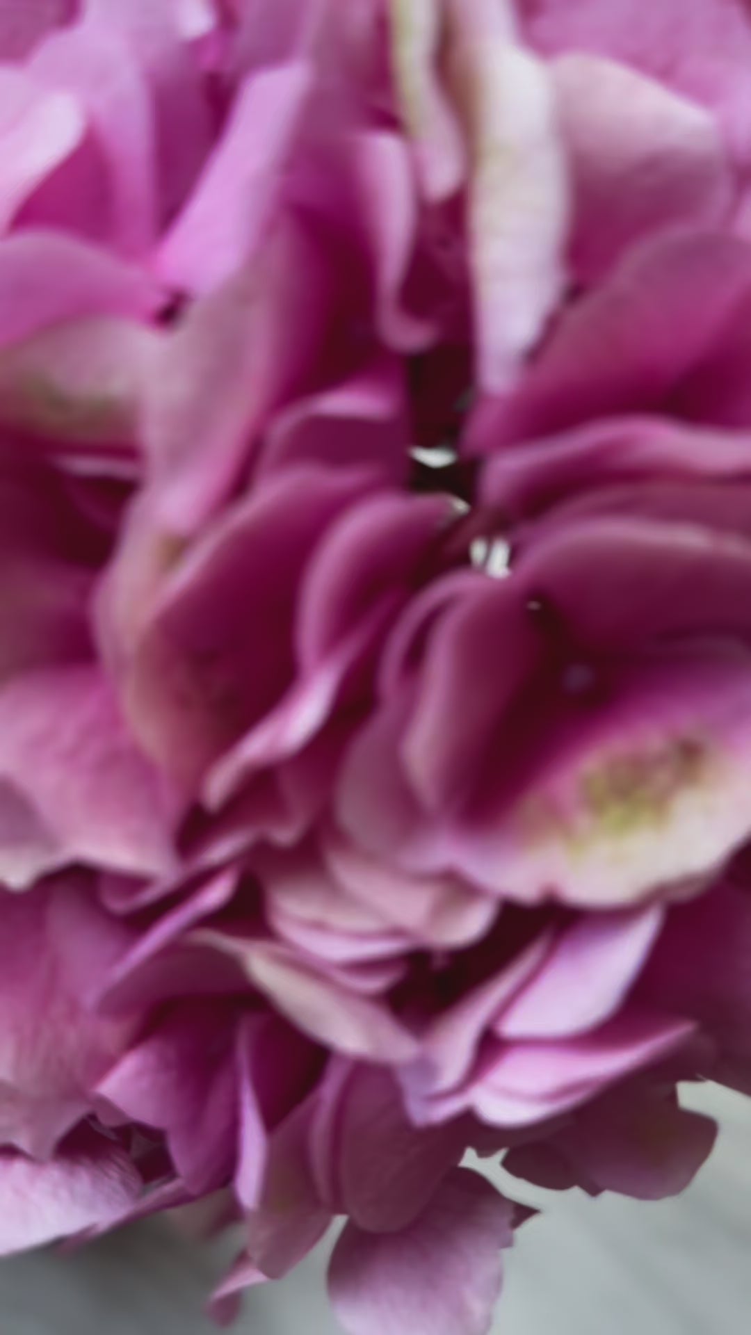 Round Cross Side Table - Carrara Marble